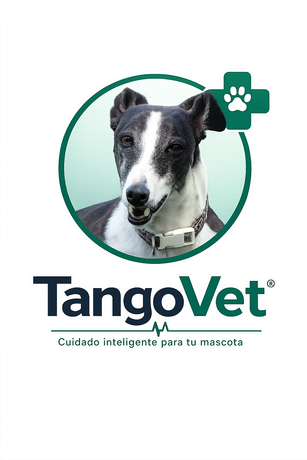 TangoVet